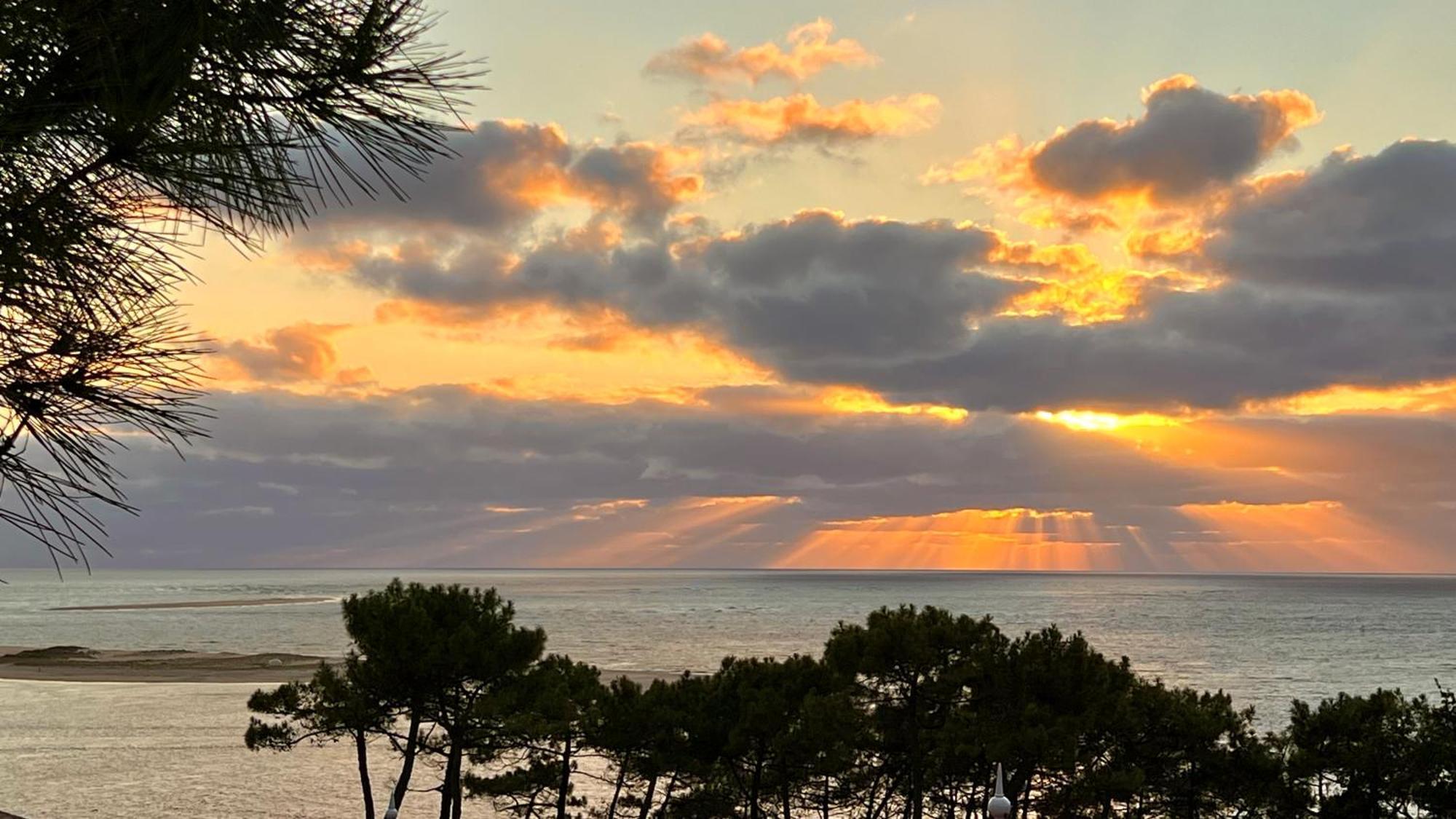 Le Cocon Des Dunes - Vue Mer, Plage&corniche A Pied Apartment